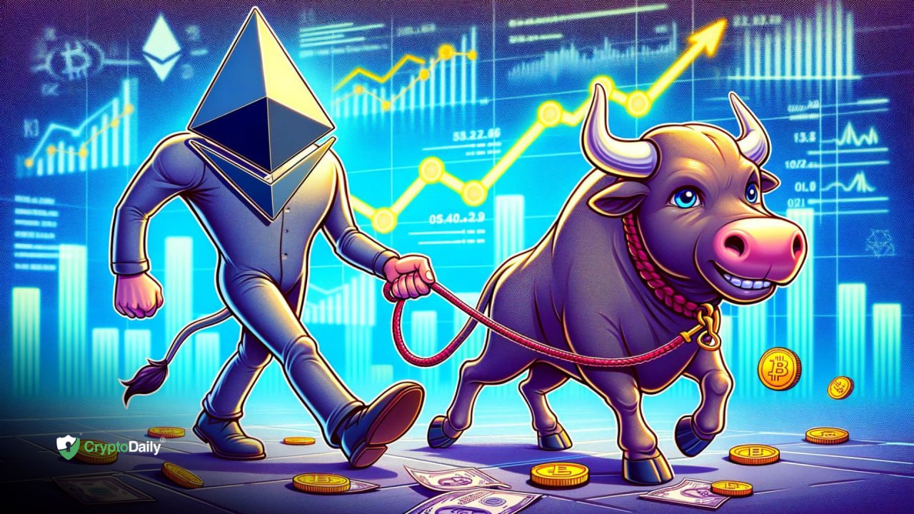 next bull market crypto